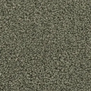 Draufsicht auf Vorwerk Romance 7H40 – Velours Teppichboden in gedecktem Farbton, ohne Label und Badge